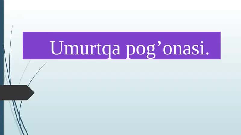 Umurtqa pog’onasi.