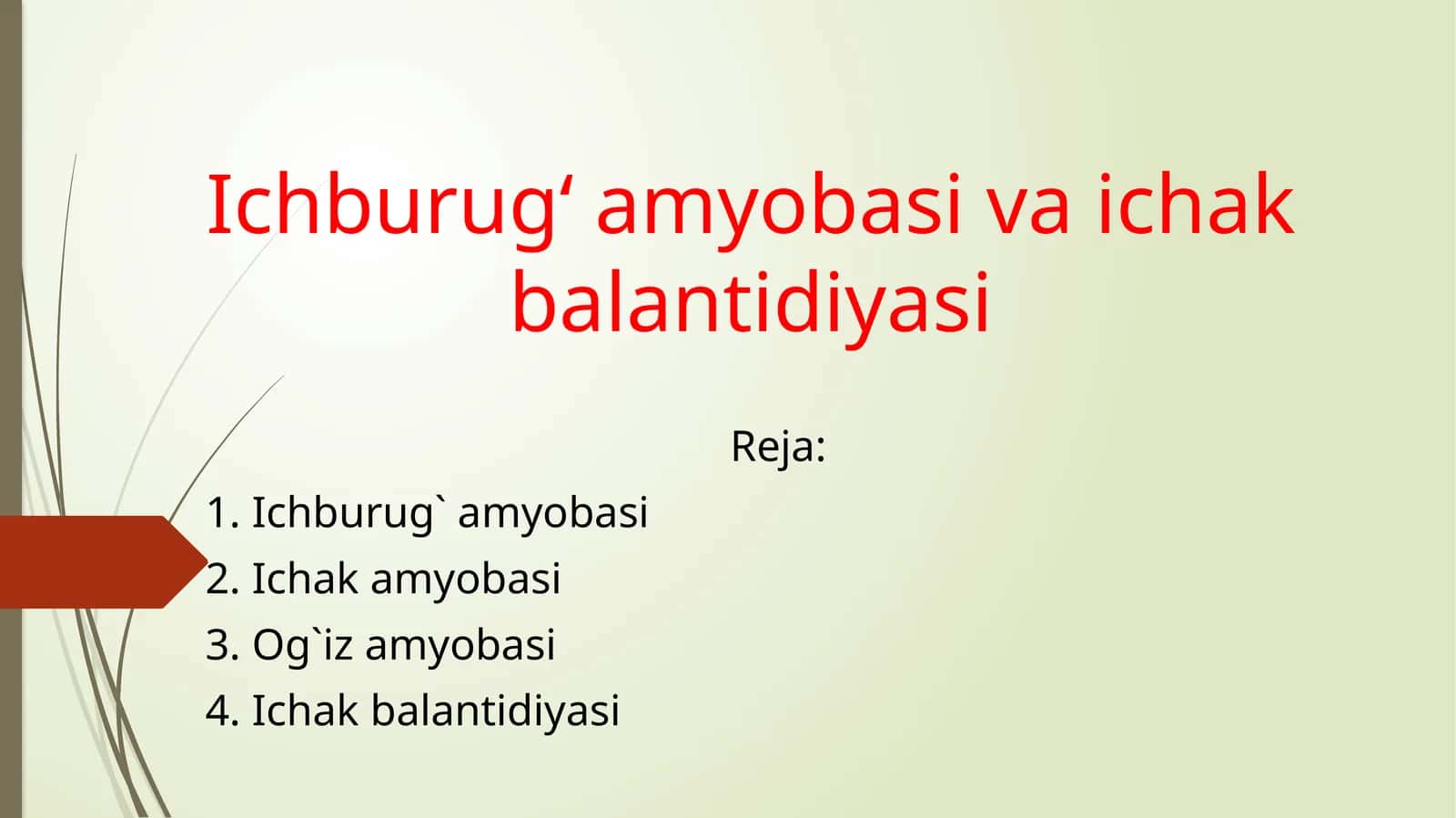 Ichburug‘ amyobasi va ichak balantidiyasi