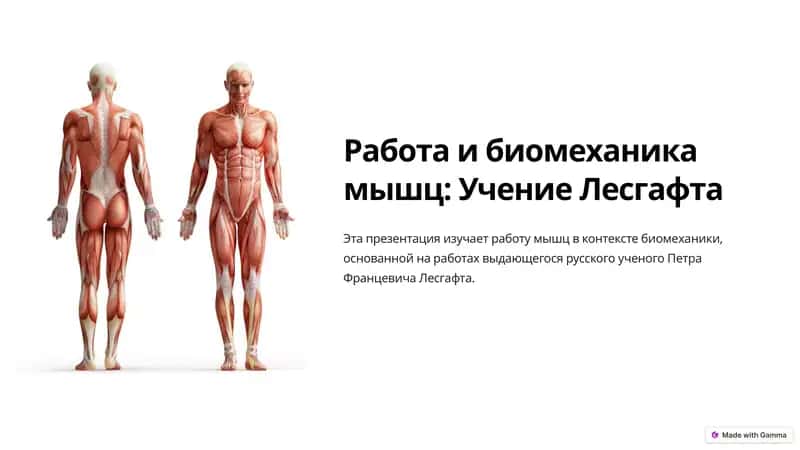 Иш ва мускуллар биомеханика: Лесгафтнинг маълумотлари