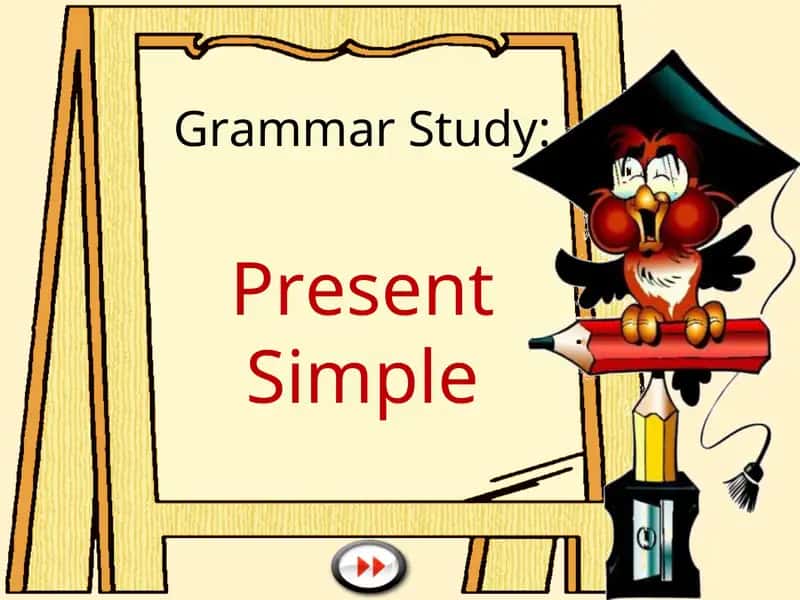 Present Simple Grammar Study