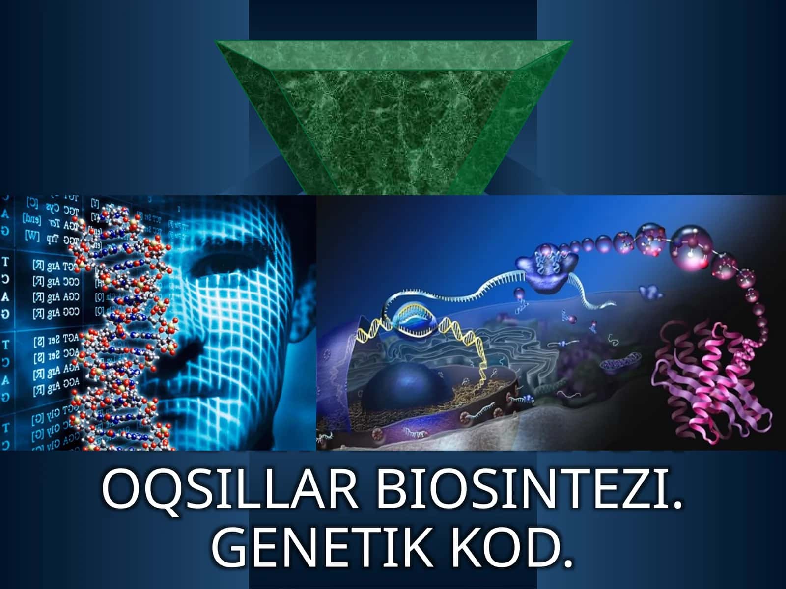 Plastika almashinuvi