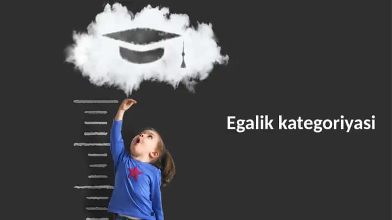 Egalik kategoriyasi