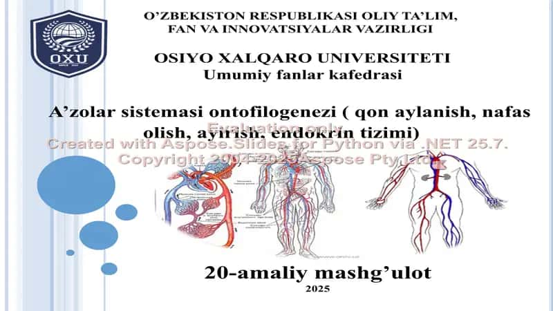 A’zolar sistemasi ontofilogenezi