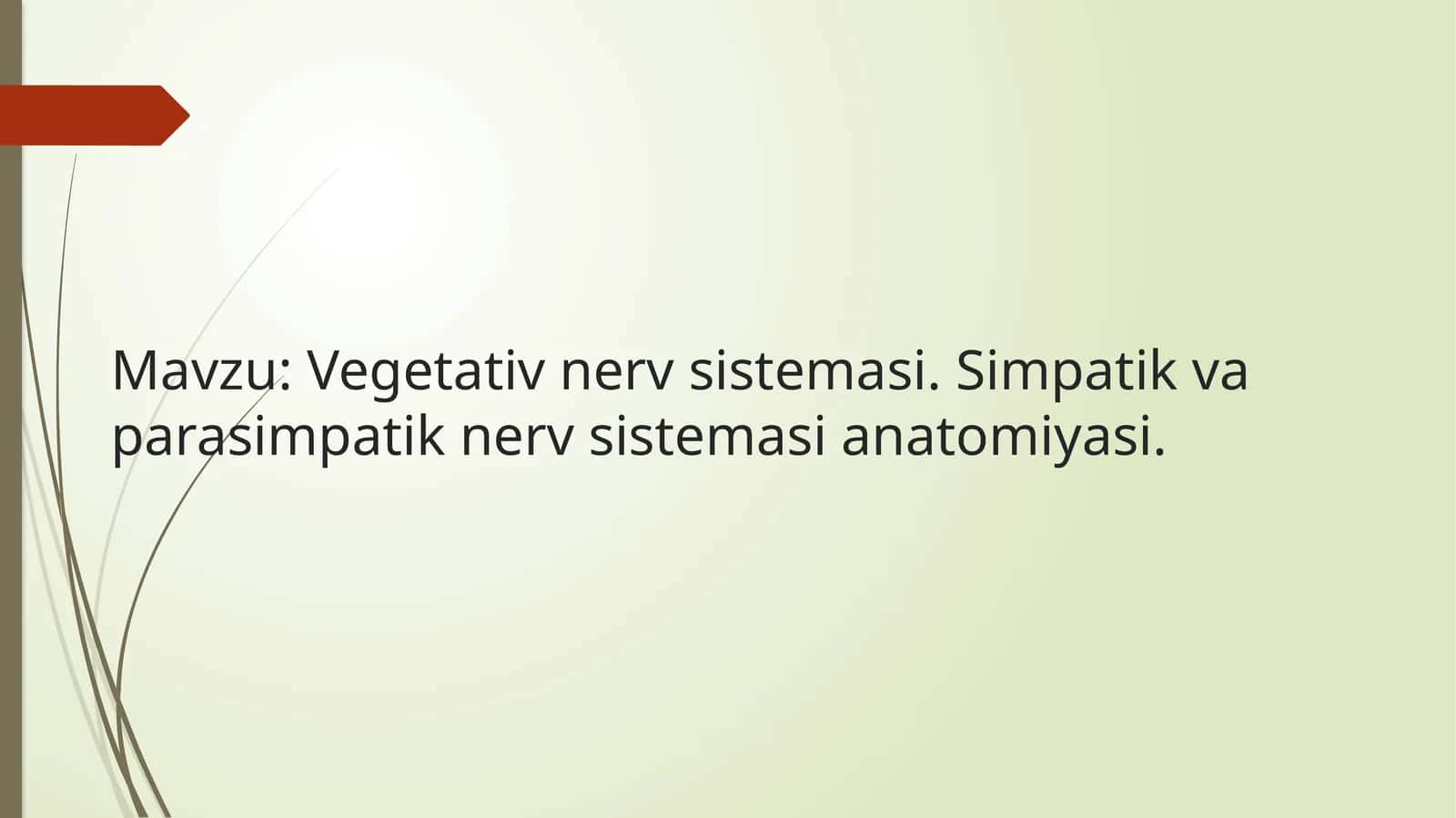 Vegetativ nerv sistemasi anatomiyasi