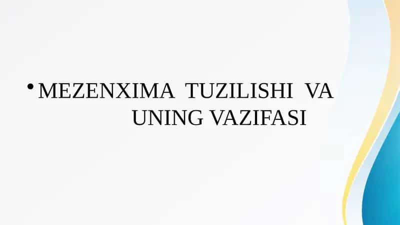 MEZENXIMA  TUZILISHI  VA  UNING VAZIFASI