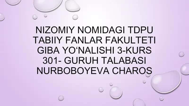 Mavzu: Korxona – tadbirkorlikning tashkiliy ko’rinishi. Korxona mulki va uning manbalari