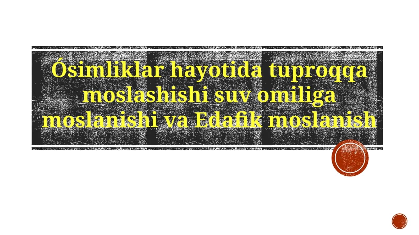 Moslashuvlar