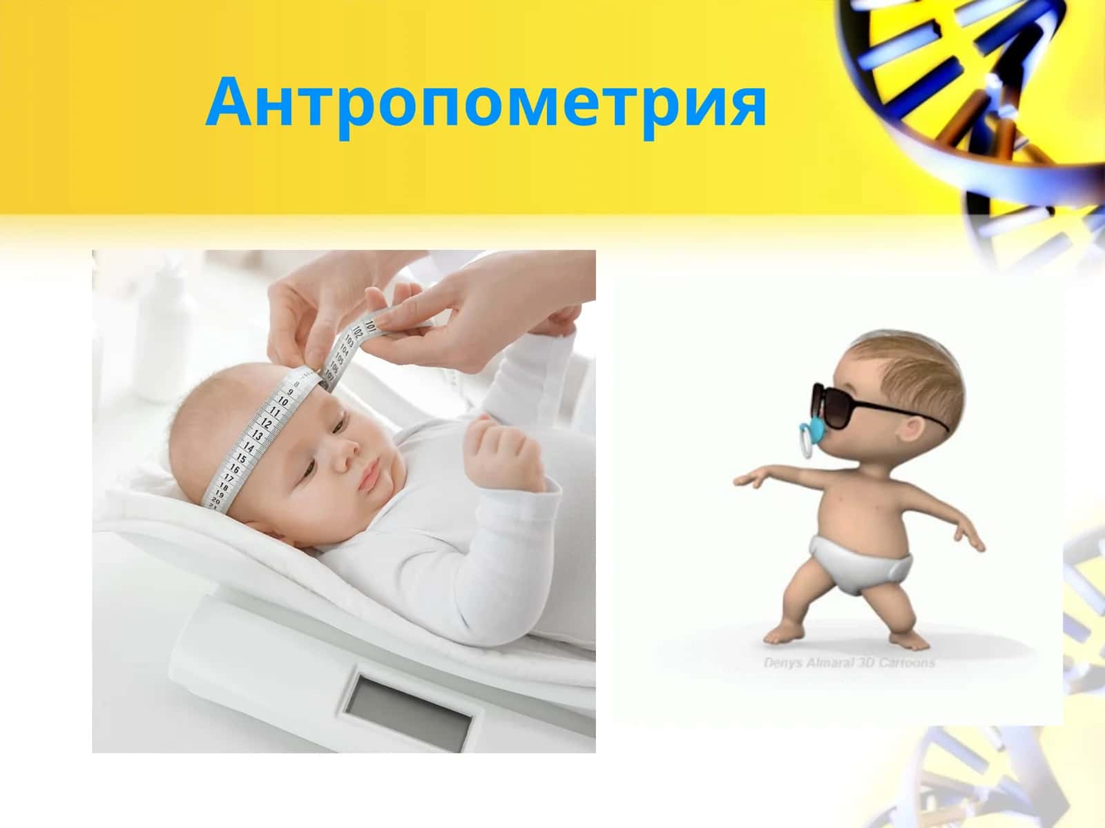 Антропометрия