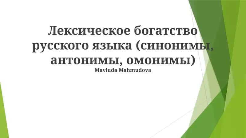 Лексическое богатство русского языка (синонимы, антонимы, омонимы)