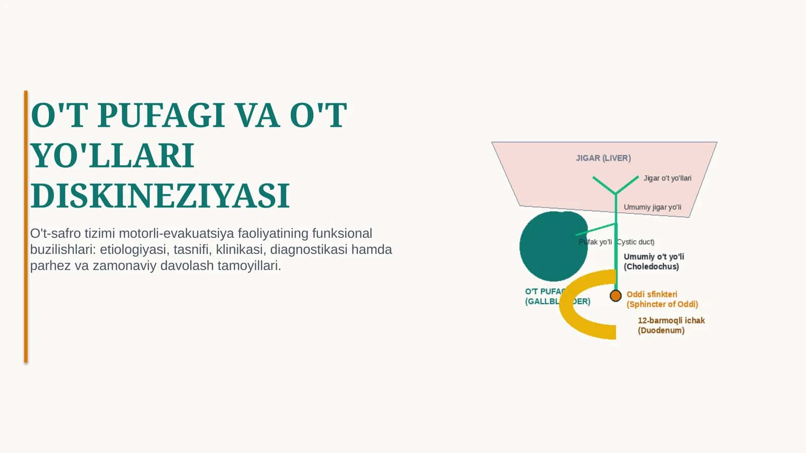 O‘T PUFAGI DISKINEZIYASI — SABABLARI, BELGILARI, TASHXISI VA DAVOLASH | 15 SLAYDLI TIBBIY TAQDIMOT