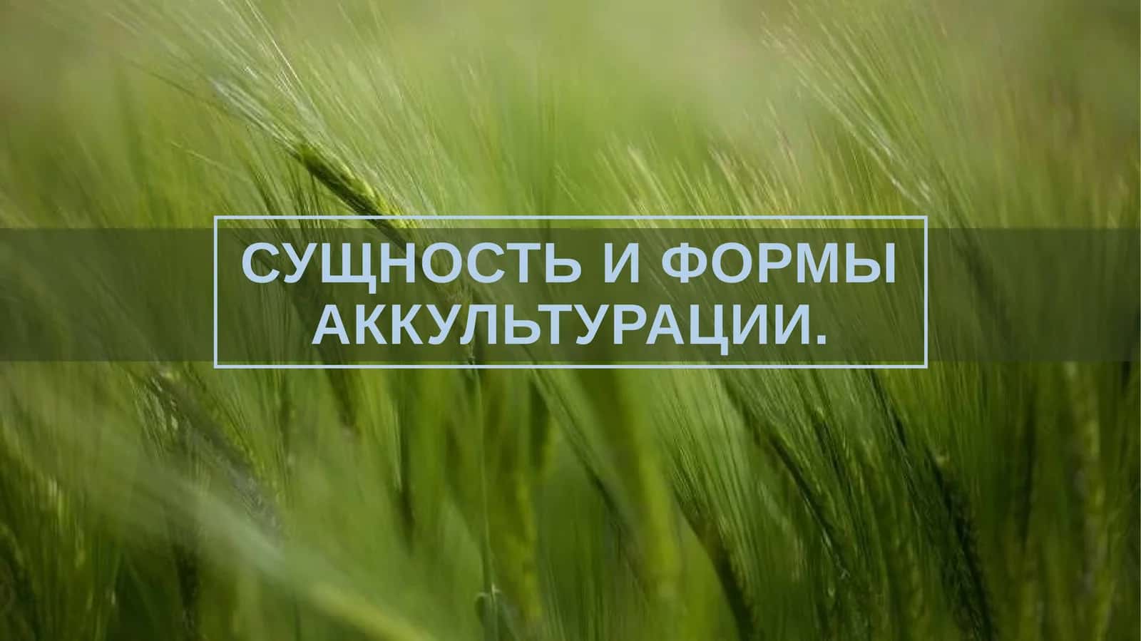 Сущность и формы аккультурации.