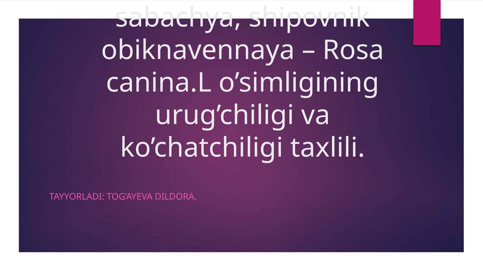 Itburunna’matagi, rosa, sabachya, shipovnik obiknavennaya– Rosa canina.L