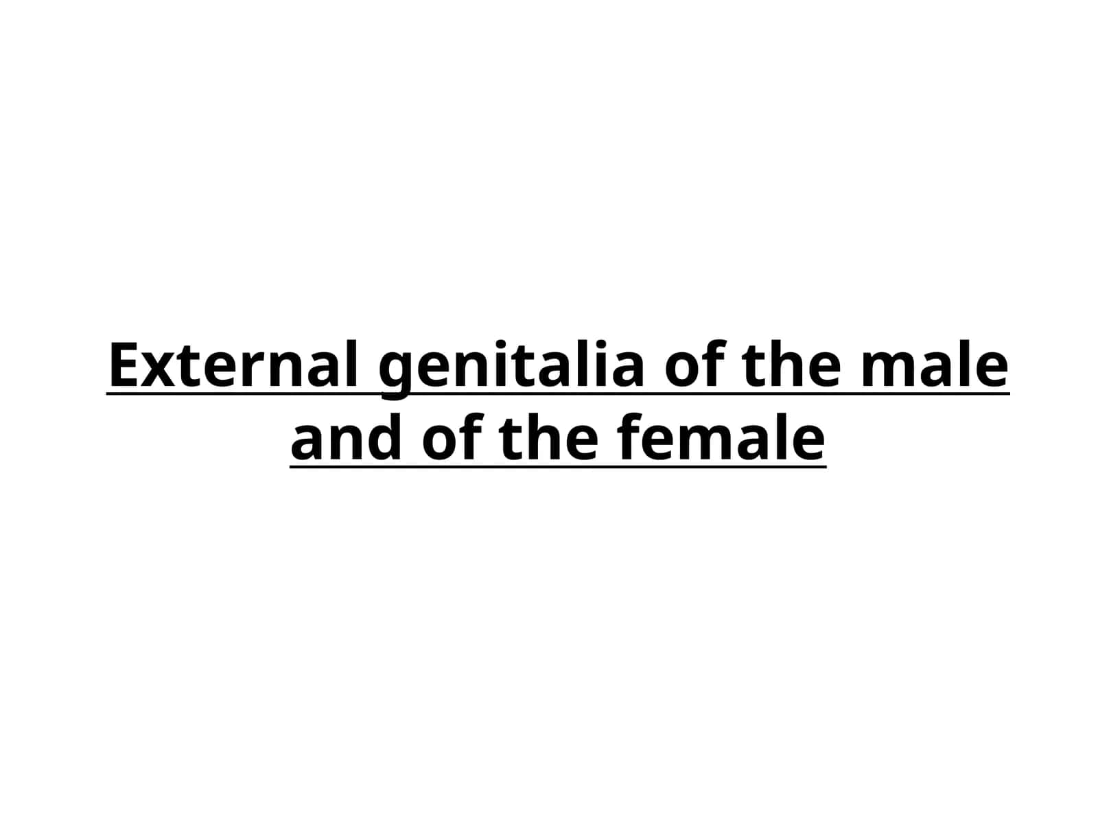 External genitalia of the male and of the female
