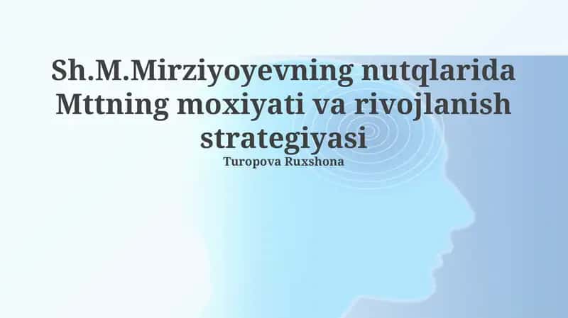 Mttning moxiyati va rivojlanish strategiyasi