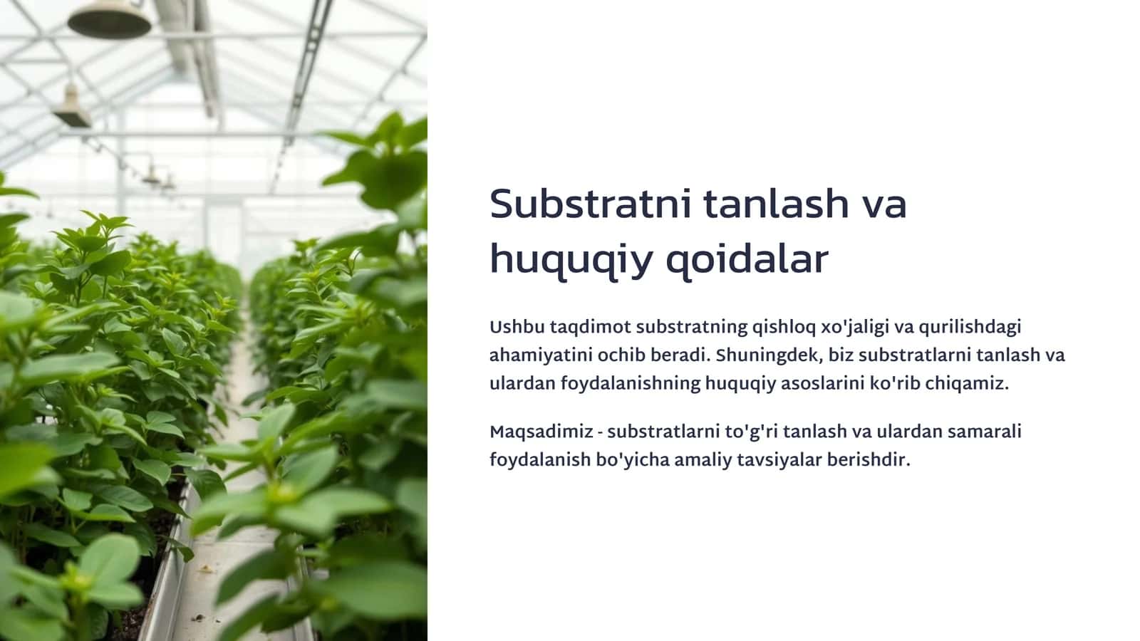 Substratni tanlash va huquqiy qoidalar