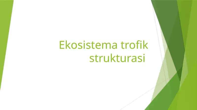 Ekosistema trofik strukturasi