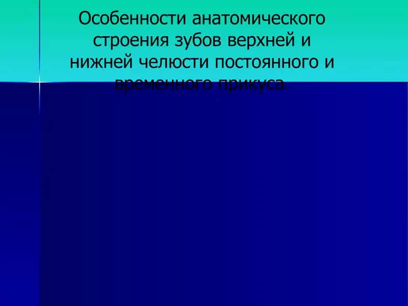 Особенности анатомического строения зубов