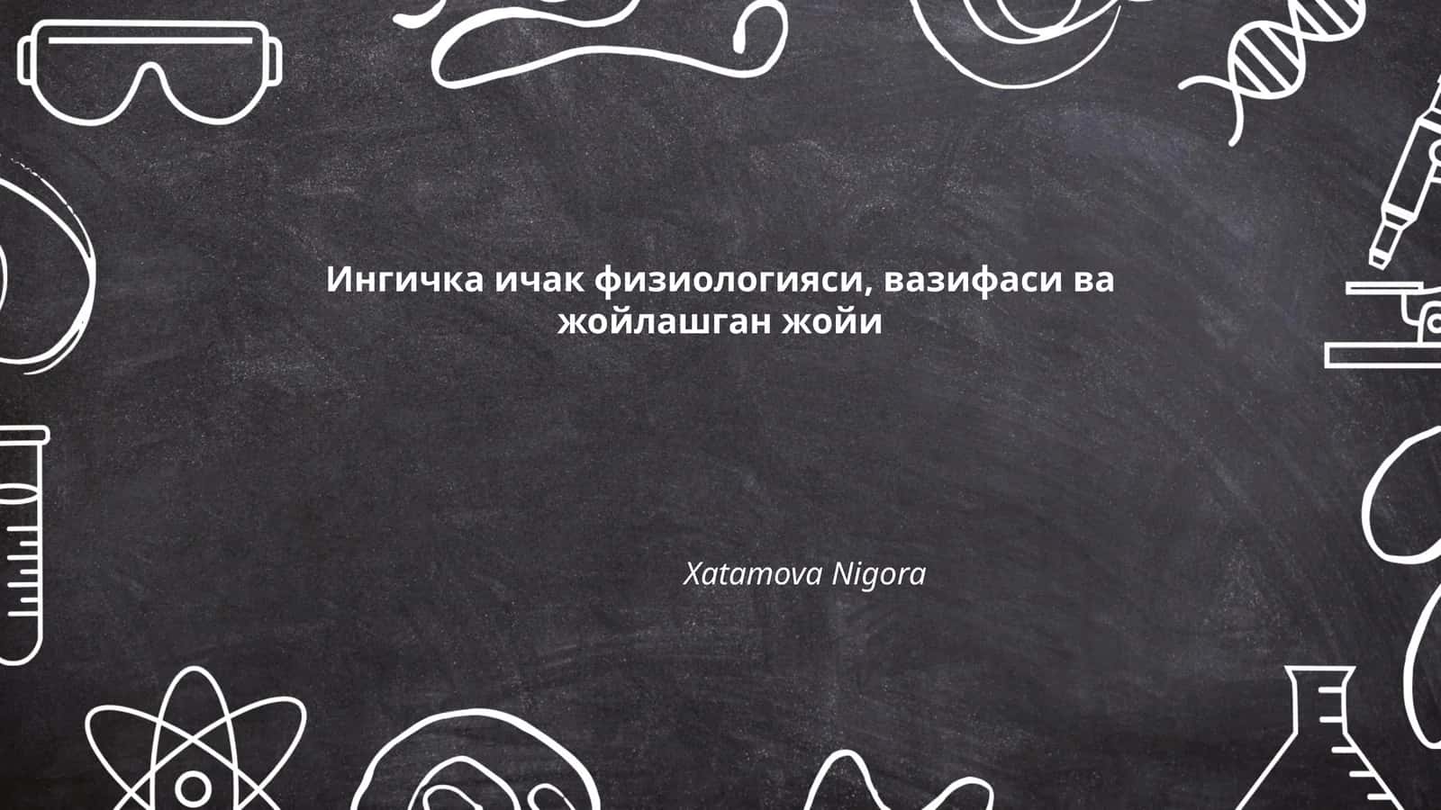 Ингичка ичак физиологияси, вазифаси ва жойлашган жойи