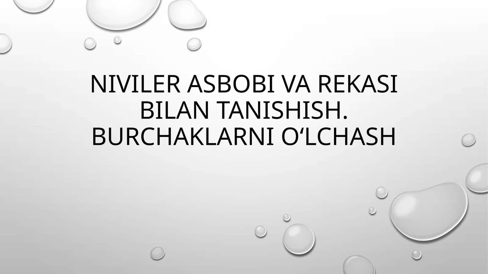 niviler asbobi va reykasi bilan tanishish. oʻlchov olishni oʻrganish