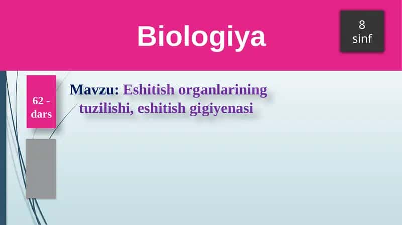 Eshitish organlarining tuzilishi