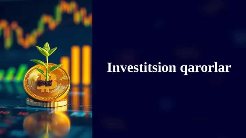Investitsion qarorlar