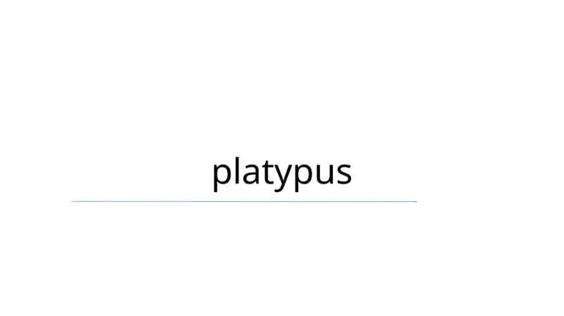 platypus