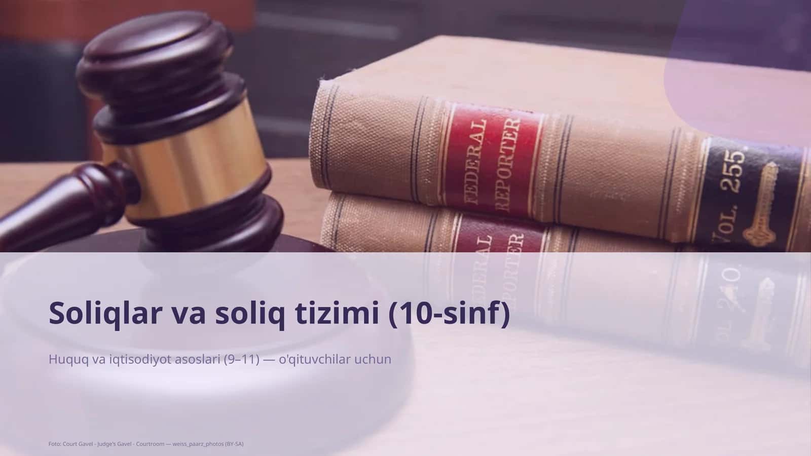 Soliqlar va soliq tizimi (10-sinf)