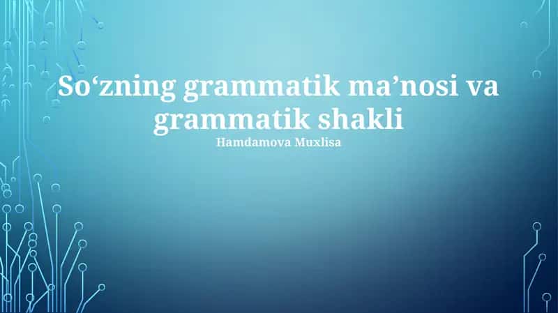 So'zning grammatik ma'nosi va grammatik shakli