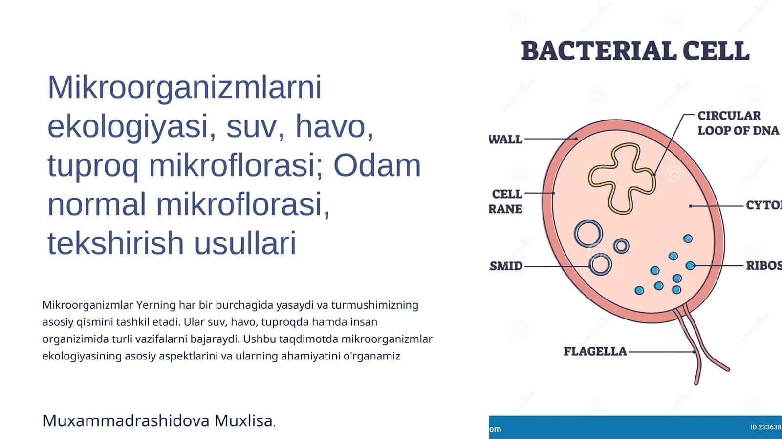 Mikroorganizmlar Ekologiyasiga Kirish