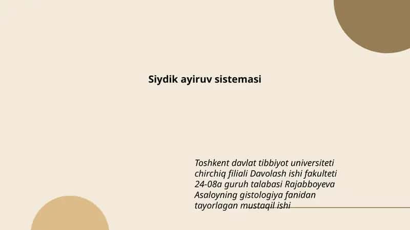 Siydik ayiruv sistemasi