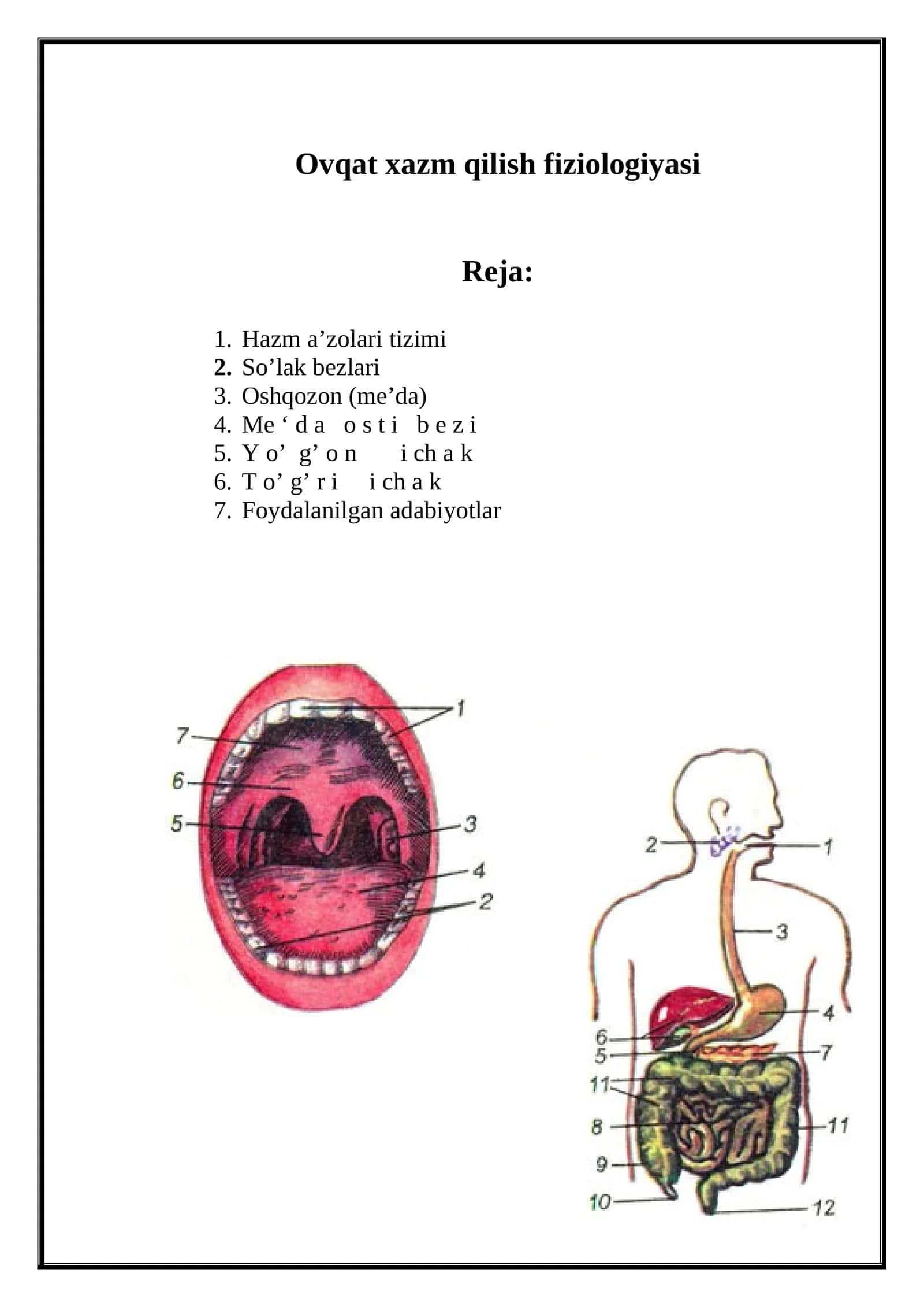 Ovqat xazm qilish fiziologiyasi