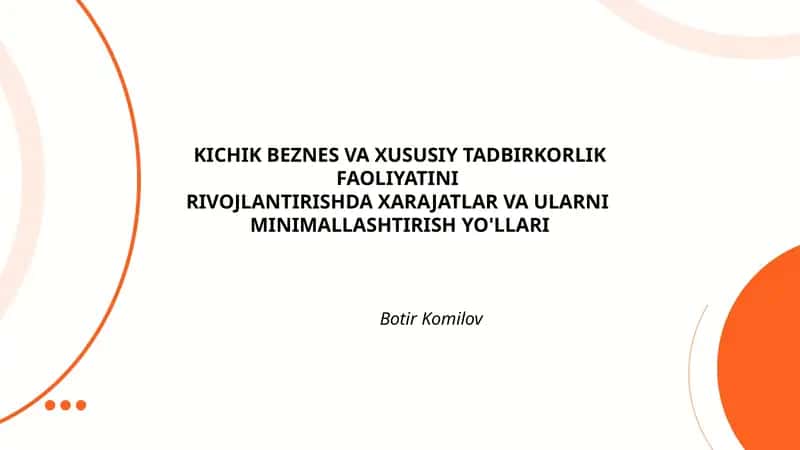 KICHIK BEZNES VA XUSUSIY TADBIRKORLIK FAOLIYATINI RIVOJLANTIRISHDA XARAJATLAR VA ULARNI MINIMALLASHTIRISH YO'LLARI