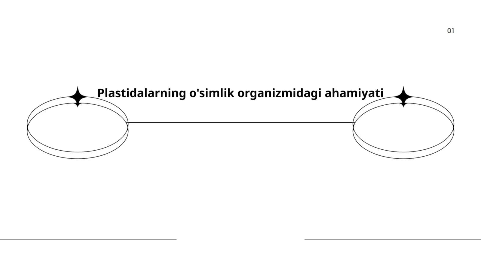 Plastidalarning o'simlik organizmidagi ahamiyati