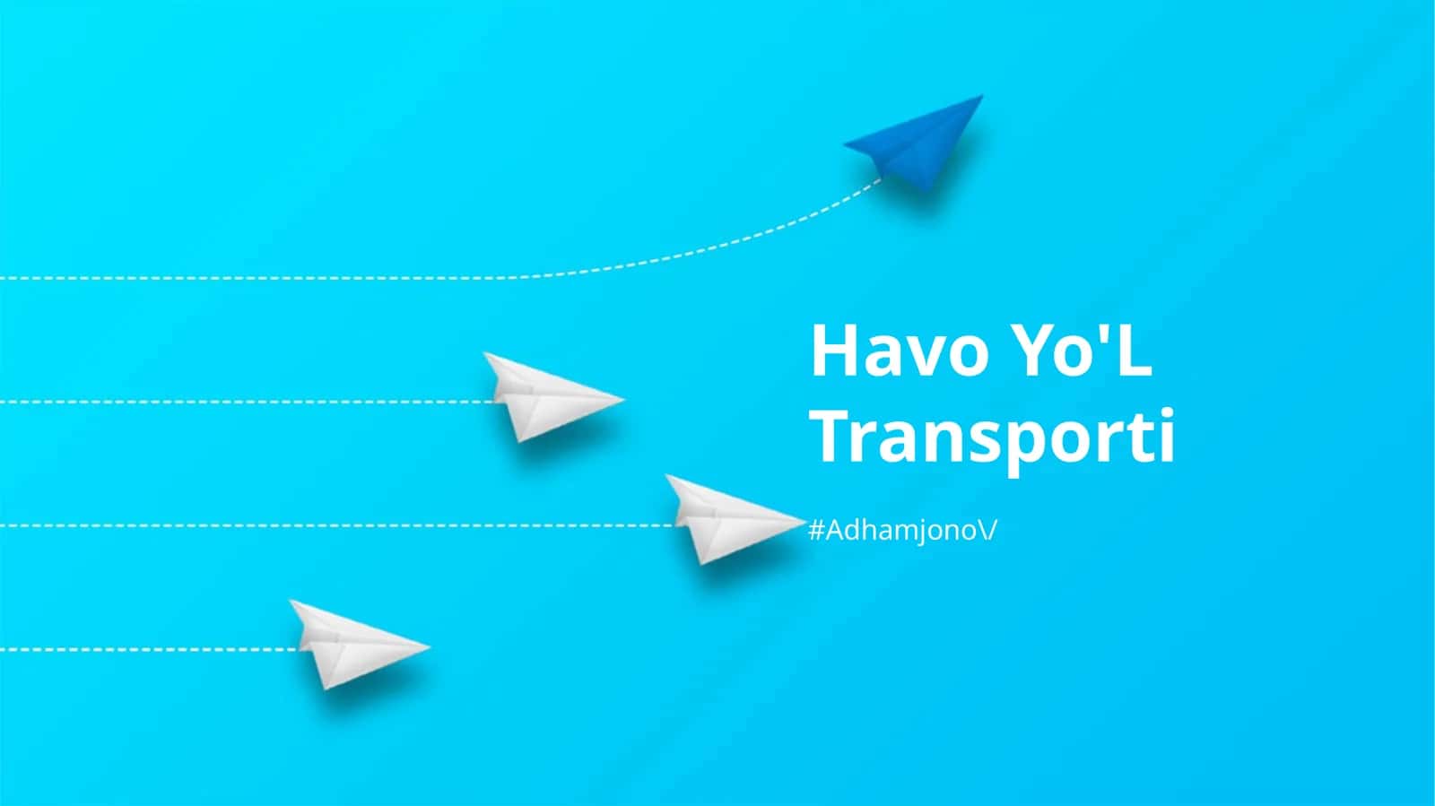 Havo Yo'L Transporti
