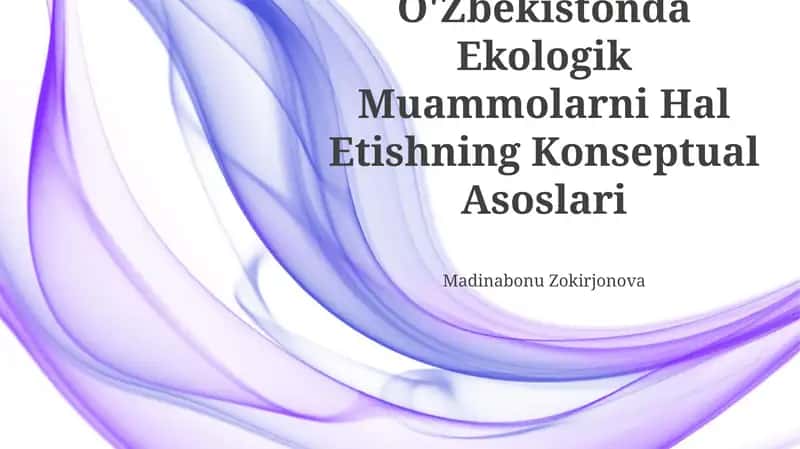 O'Zbekistonda Ekologik Muammolarni Hal Etishning Konseptual Asoslari