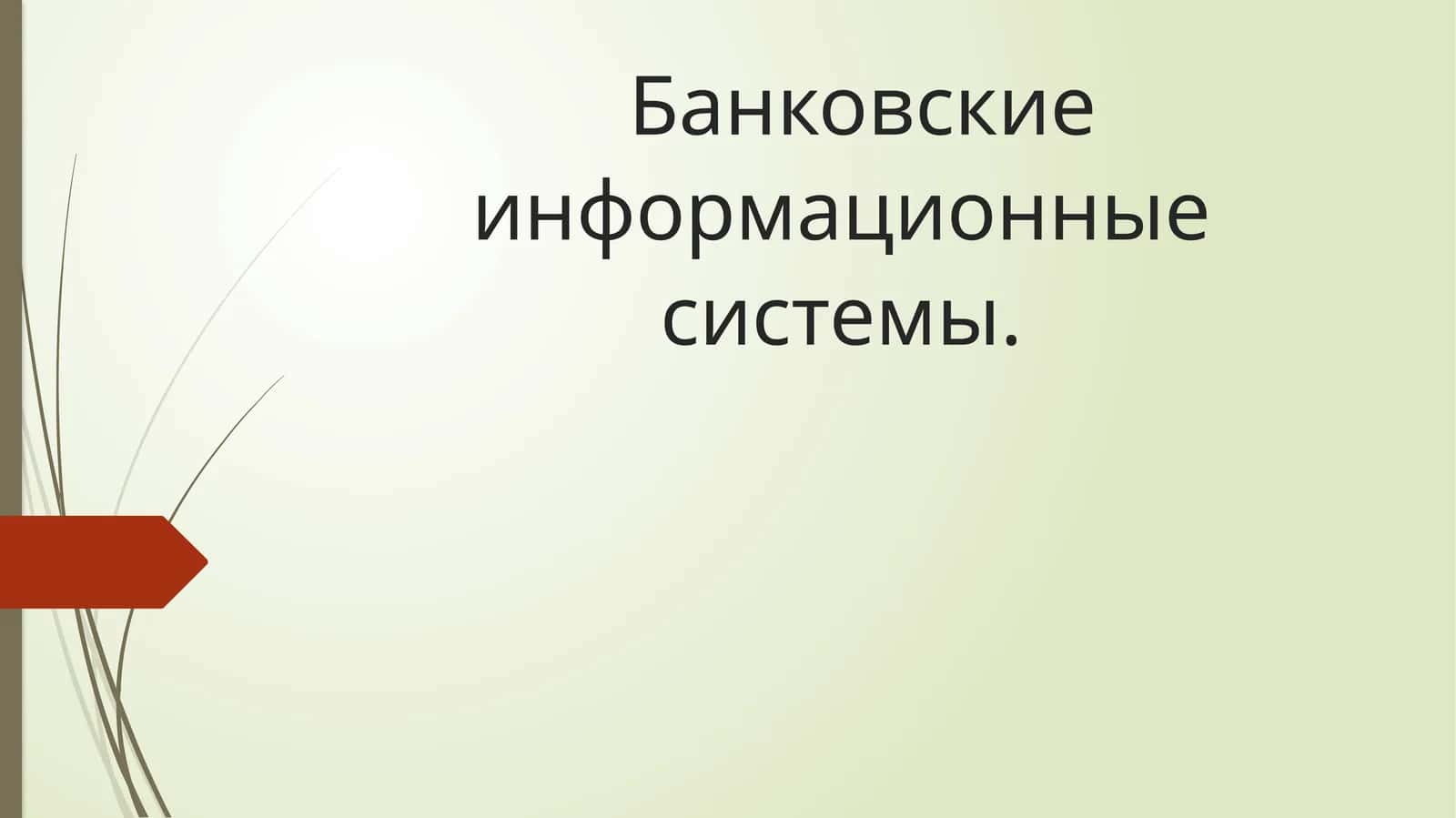 Банковские информационные системы