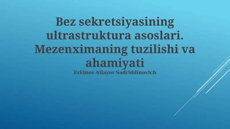 Mezenximaning tuzilishi va ahamiyati