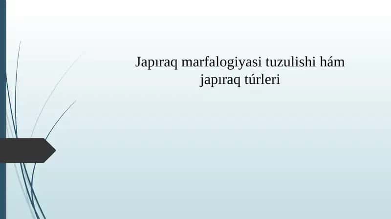 Japıraq marfalogiyasi tuzulishi