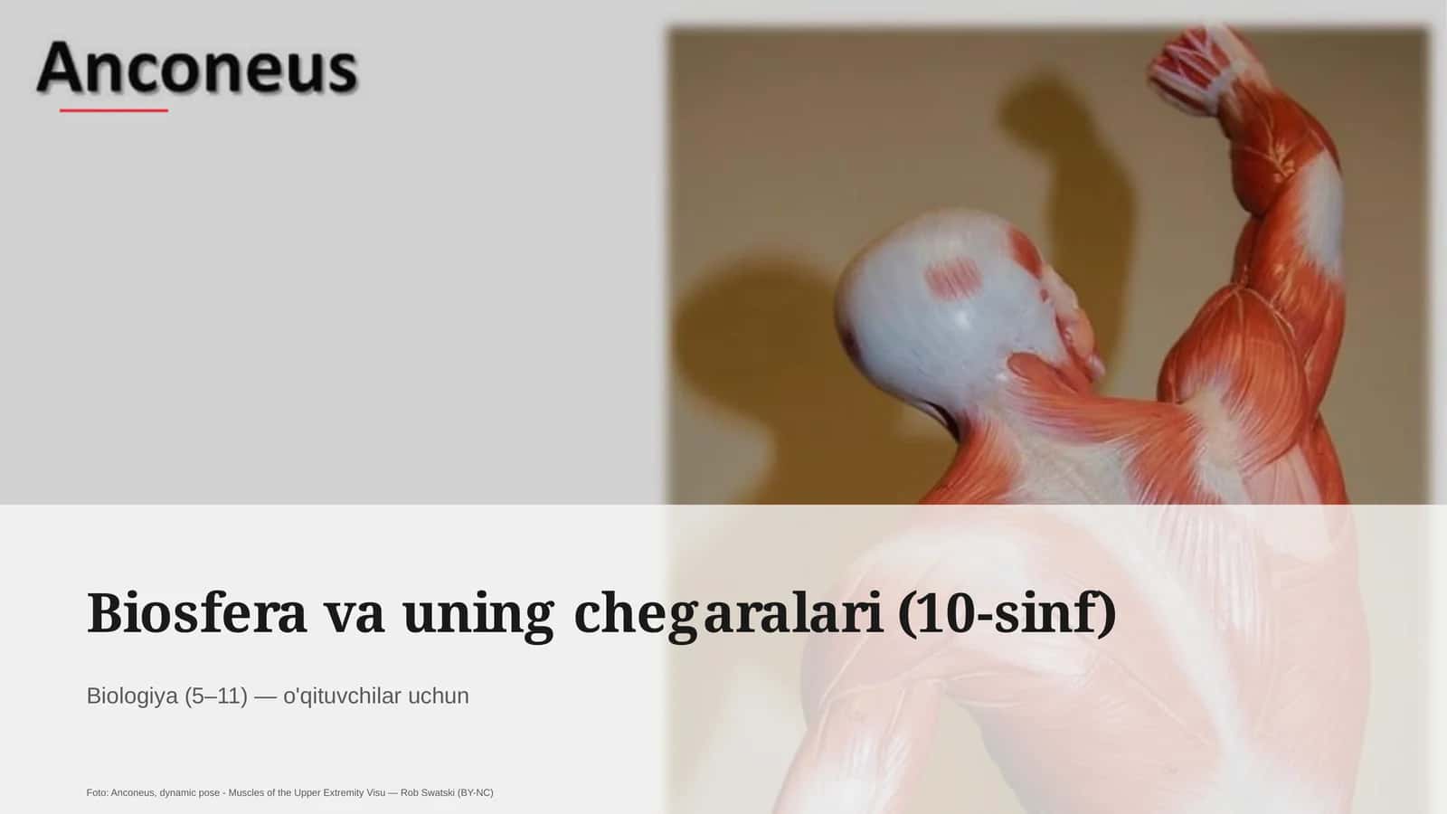 Biosfera va uning chegaralari (10-sinf)
