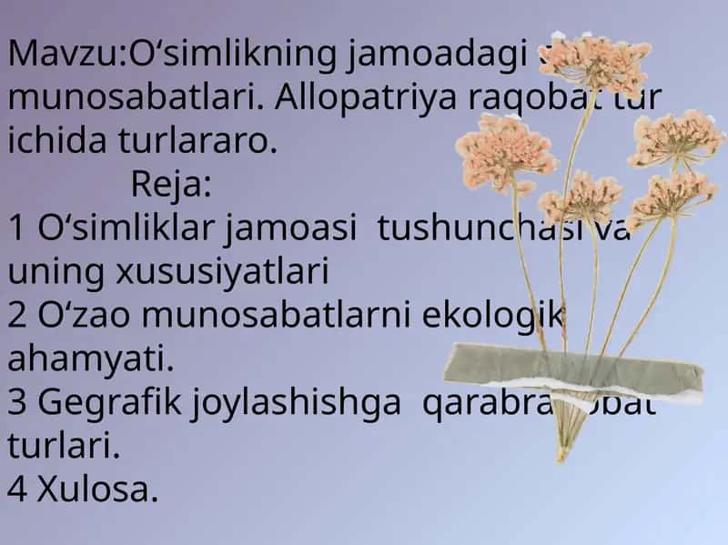 Oʻsimlikning jamoadagi oʻzaro munosabatlari