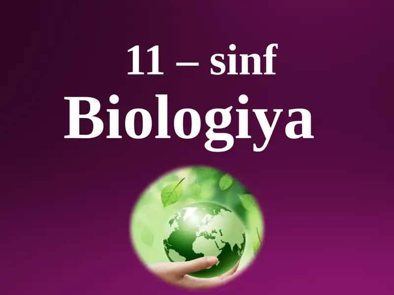 O`simliklar filogenezi. O`simliklarning vegetativ organlari filogenezi
