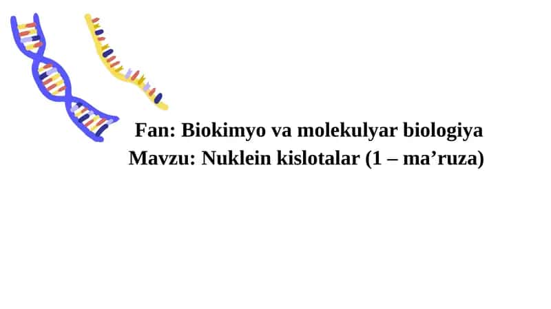 Nukleinkislotalar(1 –ma’ruza)