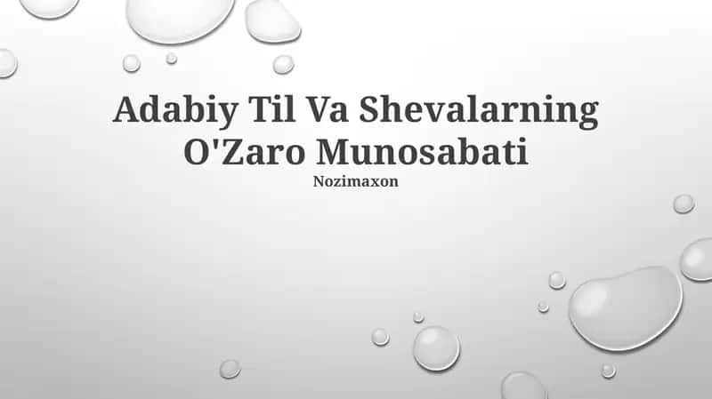 Adabiy Til Va Shevalarning O'Zaro Munosabati