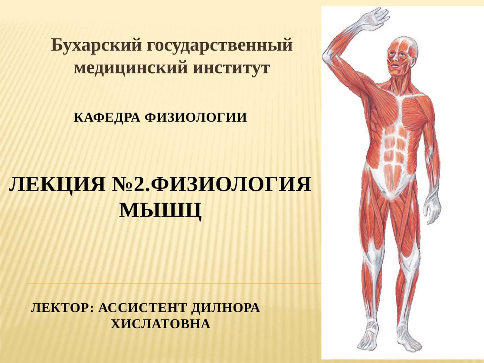КафедрафиЗИологииЛекция №2.Физиология мышцЛЕКТОР: АССИСТЕНТдилнораХислатовна