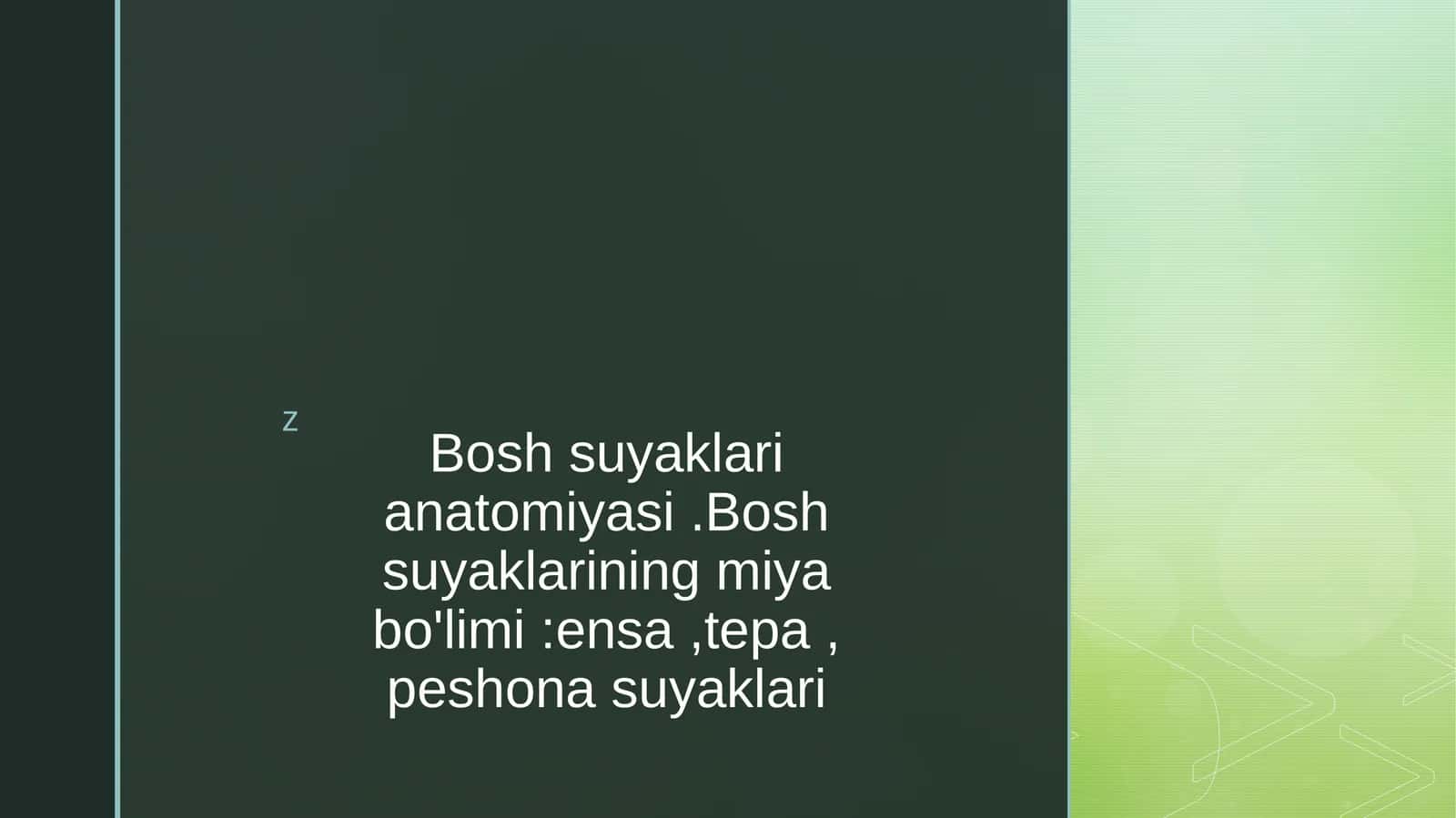 Bosh suyaklari anatomiyasi