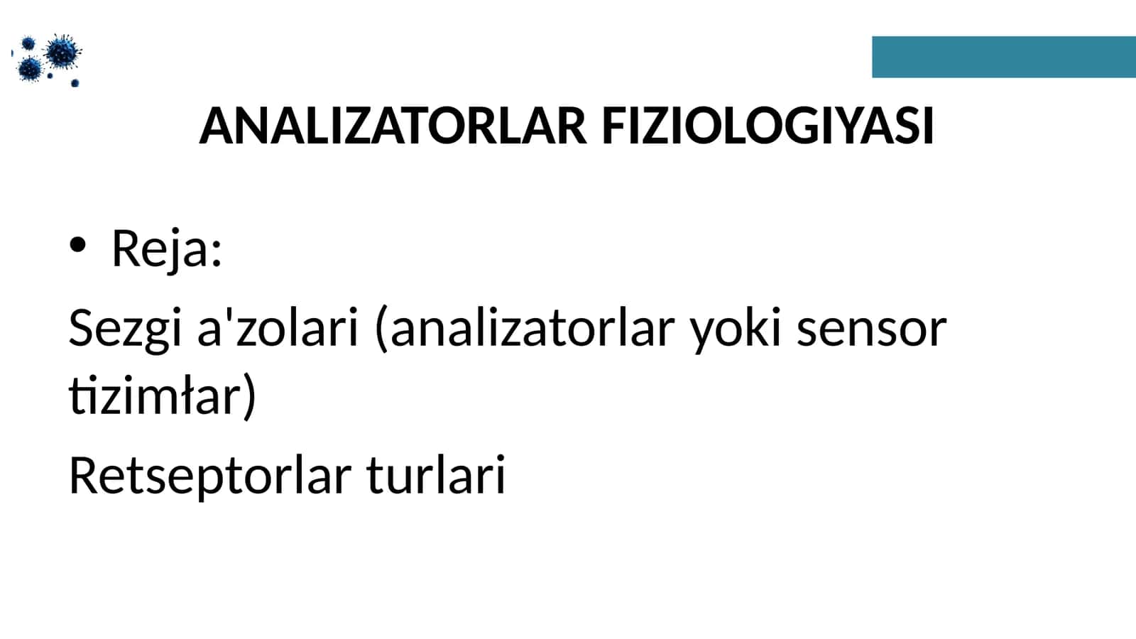 ANALIZATORLAR FIZIOLOGIYASI