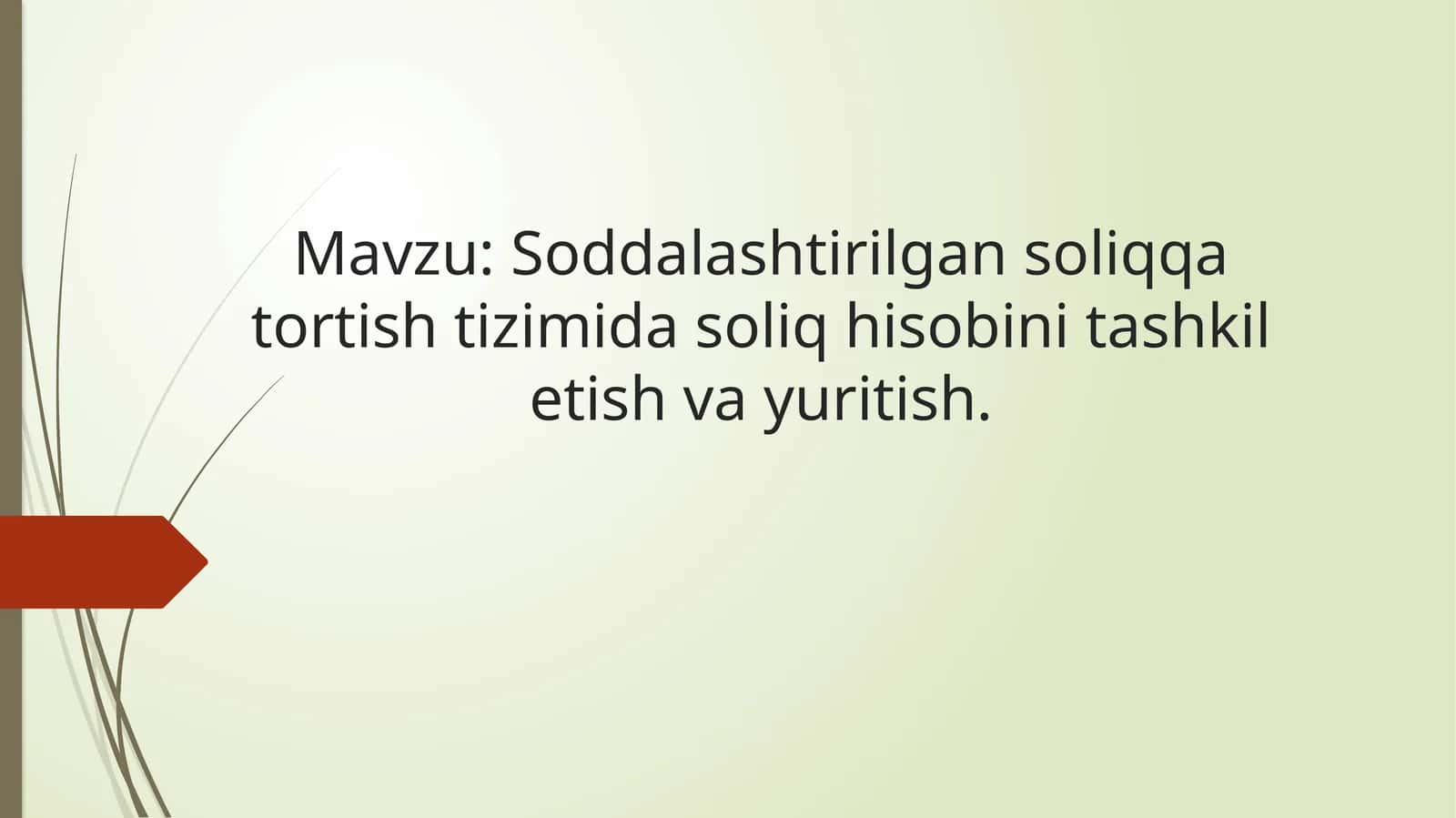 Soddalashtirilgan soliq qator tizimida soliq hisobini tashkil etish va yuritish
