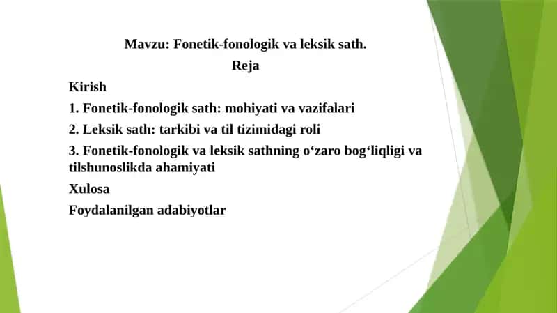 Fonetik-fonologik va leksik sath