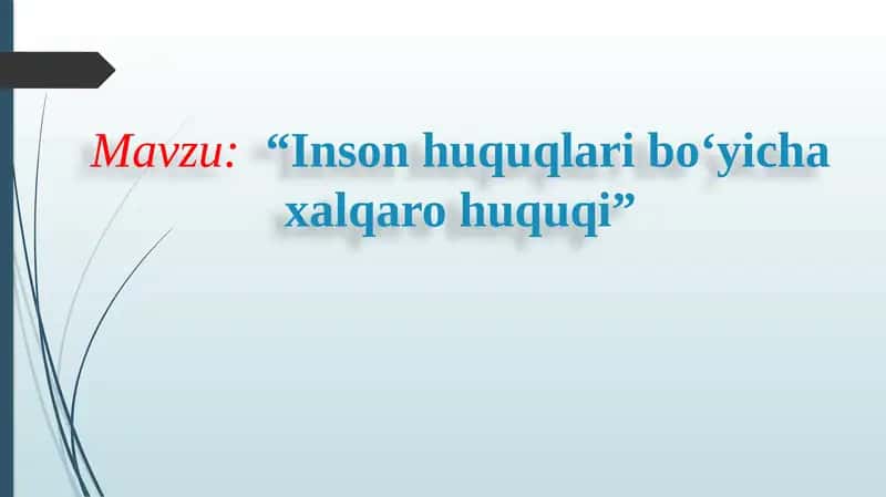 Inson huquqlari boʻyicha xalqaro huquqi