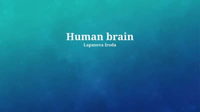 Human brain
